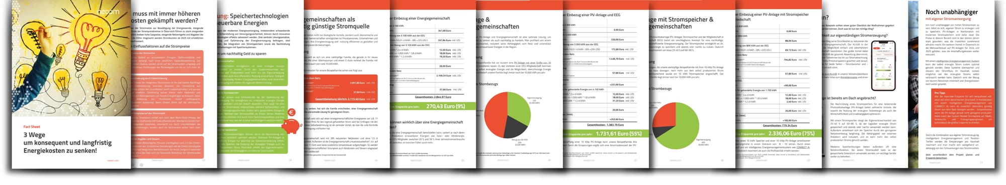 Mock up Fact Sheet Mock up Fact Sheet